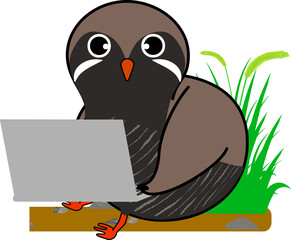 仕事中のかわいいヤンバルクイナ