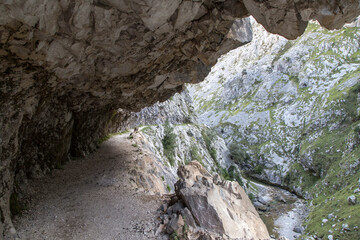 Paisaje de sendero de montaña. Picos de Europa, Asturias, España.