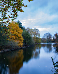 Fototapeta na wymiar bright autumn trees reflected in the lake in the park