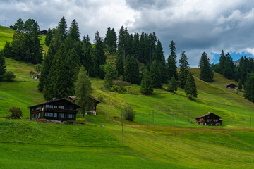 alte Bauernhäuser aus Holz im Boden, Adelboden. Streusiedlung mit Wiesen und Wäldern in den...