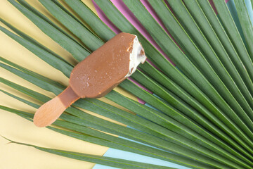 Vanilla ice cream stick with milk cholocate coating on a wooden stick, palm tree leaf and coloured background.