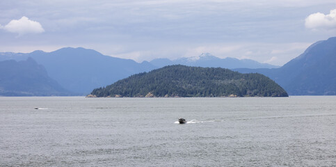 Howe Sound, Islands and Canadian Mountain Landscape Background. Taken near West Vancouver, British Columbia, Canada.
