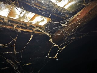 Spider web under the roof. Thick cob net on the day light