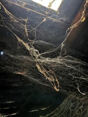 Spider web under the roof. Thick cob net on the day light