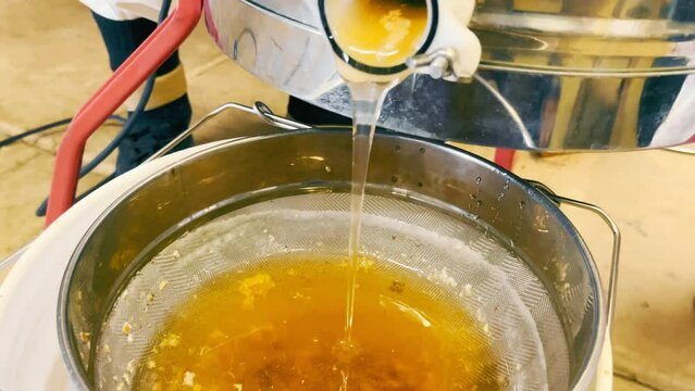 Honey filtration. Yellow thick honey with wax is filtered and purified. Honey flows from the extractor onto the colander.