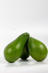 avocado isolated