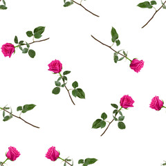 Roses isolated on white background, SEAMLESS, PATTERN