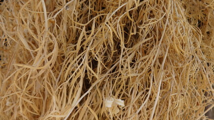 dried medicinal plant