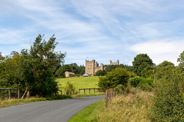 the ruins of the castle