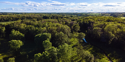 Natural Rural Wisconsin Wilderness in Summer