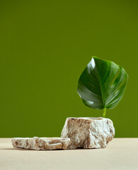 Stone podium, tropical leaf for natural cosmetics presentation on green background. Pedestal for...