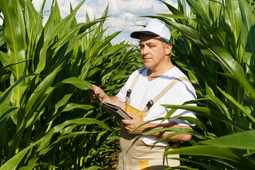 A farmer inspects a field with growing corn, writes data to a tablet.