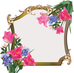 pink tulip flowers in frame isolated on white