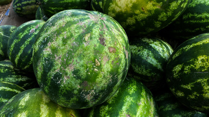 Lots Of Big Sweet Green Organic Ripe Watermelons