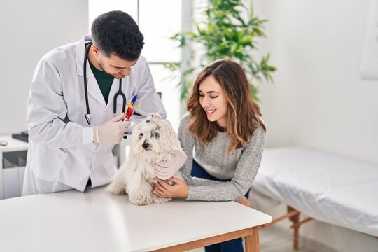 Man and woman veterinarian examining dog using otoscope at veterinary clinic