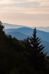 Obraz na płótnie Canvas Newfound Gap area in the Great Smoky Mountains