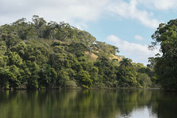 Lake in the Atlantic Forest