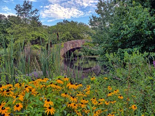 Photo sur Plexiglas Pont de Gapstow Gapstow Bridge dans Central Park, été, matin