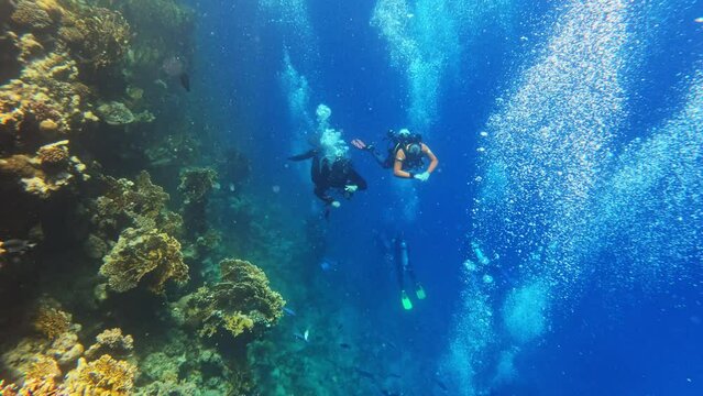Group of divers in the Red Sea, Marsa Alam, Egypt