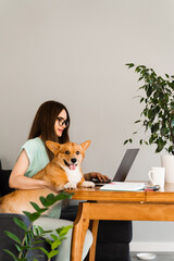 Business woman in glasses working on laptop online and hug Corgi dog. IT specialist girl working remotely and petting her dog with Welsh Corgi Pembroke. Lifestyle with domestic pet at home.