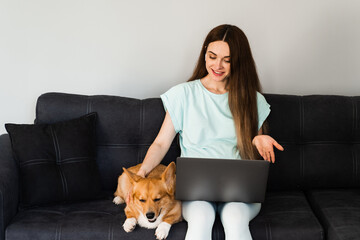 IT specialist girl with laptop and Corgi dog chat online with colleagues, gesticulates and explains...