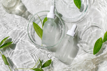 Laboratory glassware, Petri dishes and cosmetic glass bottles in water on white background. Natural medicine, cosmetic research, bio science, organic skin care products. Top view, flat lay.Dermatology