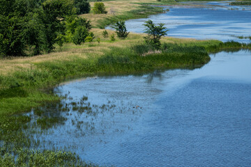 Beautiful freshwater marsh along the St. Lawrence River in summertime