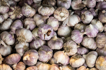 Fresh garlic at a local farmers’ food market
