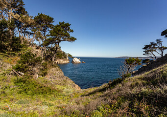 A view on the forest and sea shore