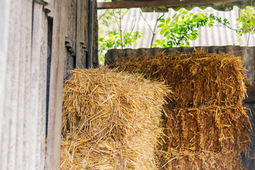 Defocus hay and straw. Hay texture. Hay bales are stacked in large stacks. Harvesting in agriculture. a pile of straw on nature background. Wheat stack. Out of focus