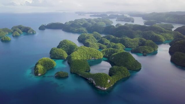 Palau, Rock Islands. Aerial footage of limestone island with Beautiful green nature and turquoise water. Ancient relics of coral reefs. Snorkeling near Koror. Visiting marine lakes in Chelbacheb