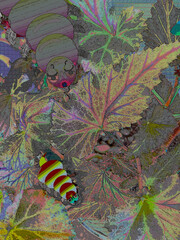 Abstract Bugs of my Garden Colorful pattern fun 
