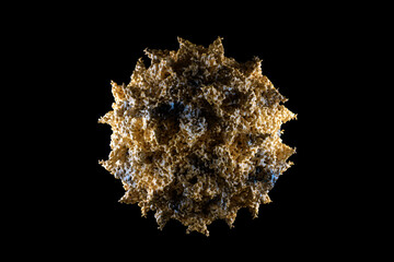 Polio virus medical illustration, poliovirus disease