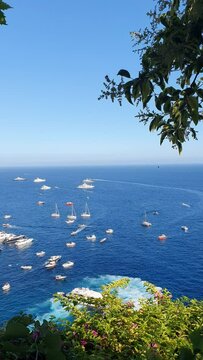 Positano Bay Yachts and Boats and Blooming Trees and Bees and Blue Sky Amalfi Coast Italy Vertical Panning Video