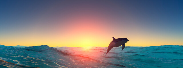 Sailing and sunset