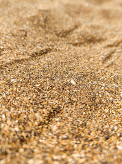 texture of sand