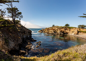 Fototapeta na wymiar A view on the Pacific coast
