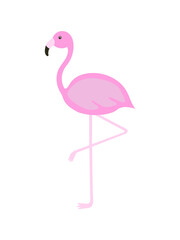 Fototapeta premium Flamingo cartoon png