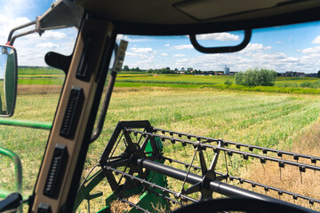 Inside of a combine. A spinning combine reel harvesting oilseed rape on a field during late summer or autumn. Photo from the driver's seat . High quality photo