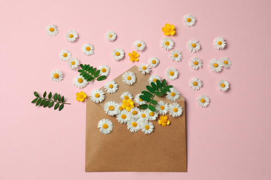 Flat lay composition with beautiful flowers, leaves and envelope on pink background