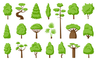 Green trees flat set. Baobab palm dracaena, sequoia fir, cypress spruce, maple thuja willow, foliar and pine forest park plant. Foliage cartoon landscape floral outdoor element. Different shape tree