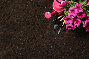 Flat lay composition with gardening tools and flower on soil, space for text
