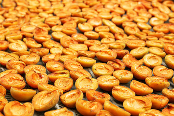 Many halved apricots on metal drying rack