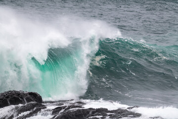 Fototapeta premium An angry turquoise green color massive rip curl of a wave as it barrels rolls along the ocean. The white mist and froth from the wave are foamy and fluffy. The ocean in the background is deep blue. 