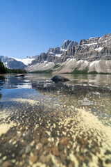 Obraz premium Calm water of Bow Lake in Banff National Park, along the Icefields Parkway, with yellow algae