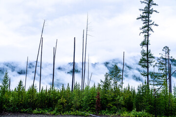 Mountain peaks covered in fog and clouds on a rainy summer day in Glacier National Park Montana