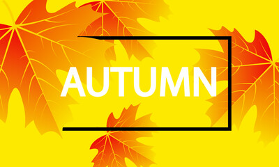 Autumn poster with yellow maple leaves, vector art illustration.
