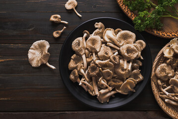 Fresh edible mushroom (Lentinus squarrosulus) on wooden background, Organic food ingredients in seasonal, Table top view