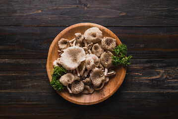 Fototapeta premium Fresh edible mushroom (Lentinus squarrosulus) in natural plate on wooden background, Organic food ingredients in seasonal, Table top view