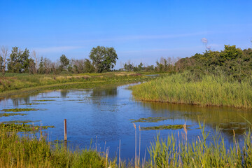 Magee Marsh landscape in Northern Ohio
